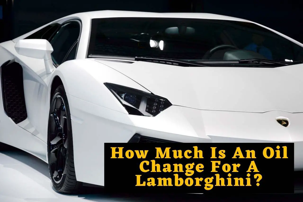 How Much Is An Oil Change For A Lamborghini