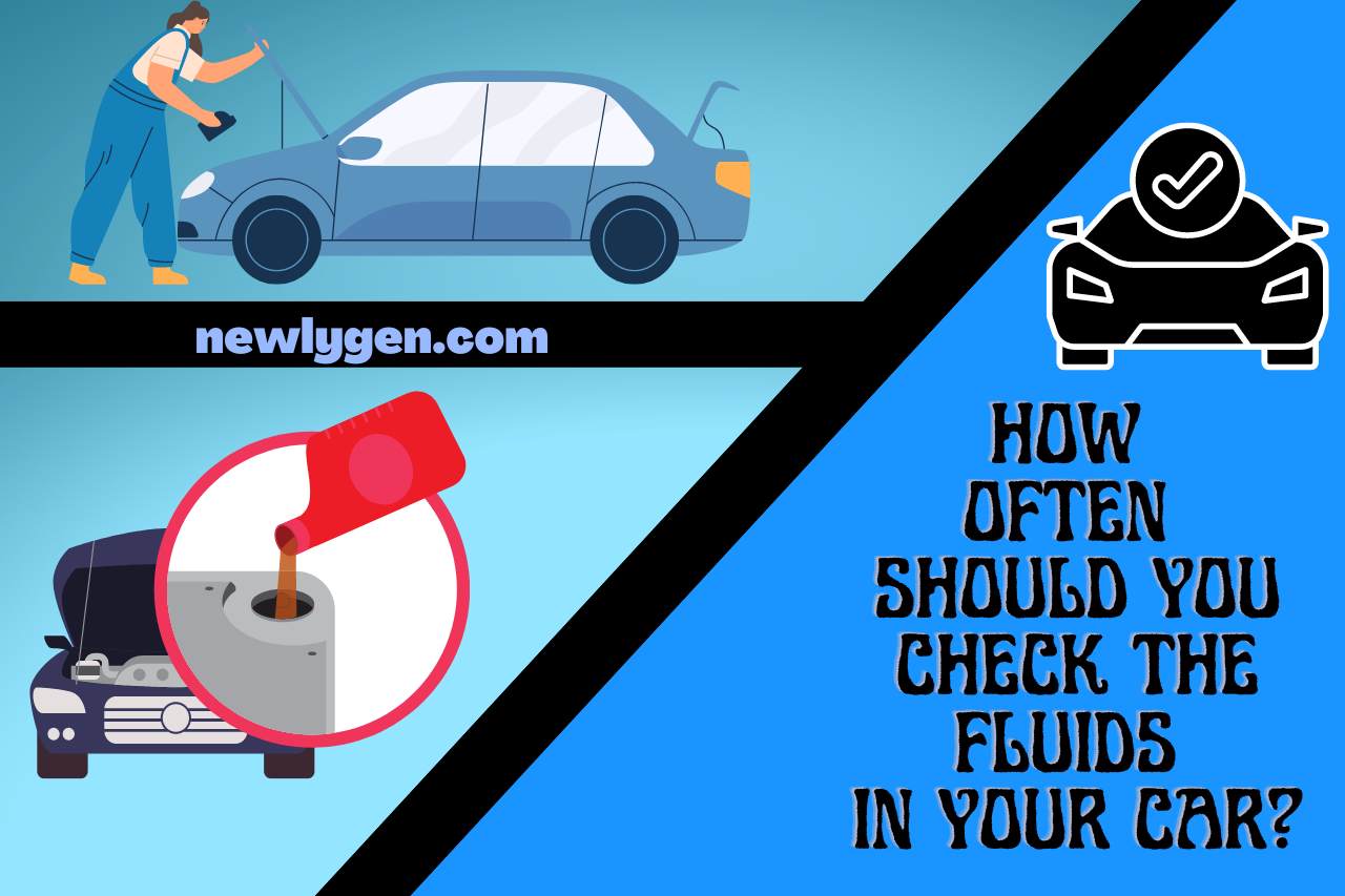 how often should you check the fluids in your car