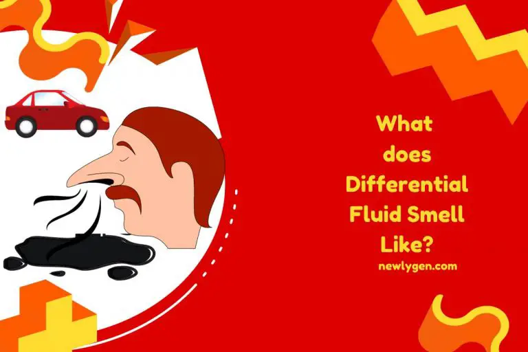 What does Differential Fluid Smell Like? Unraveling the Mystery!